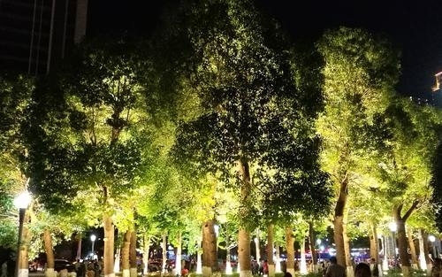六七十年代的歌有哪些？(图1)