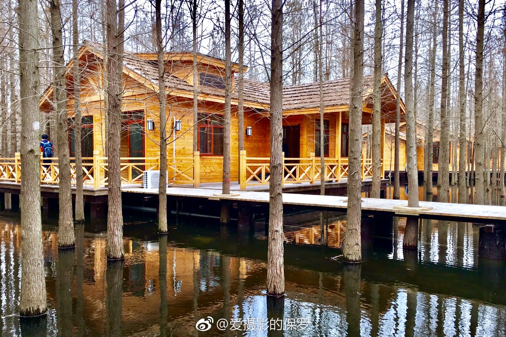 活力中国调研行|多面宁夏:葡萄酒“红”到海外沙漠“长”出算力(图1)